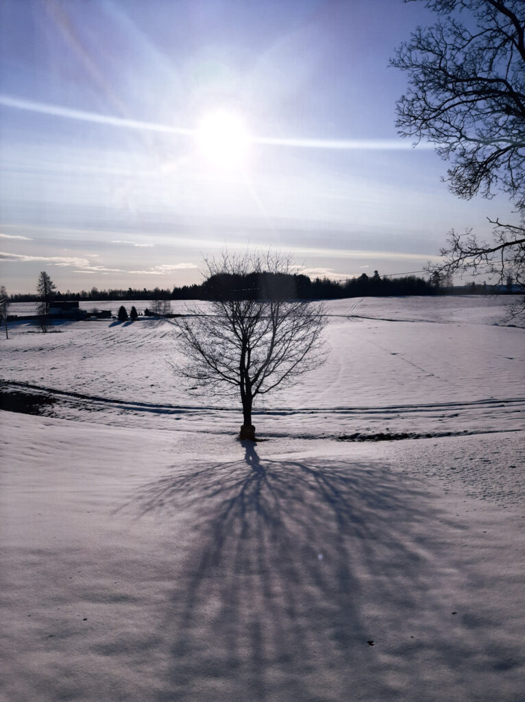 Noorwegen uitzicht met sneeuw