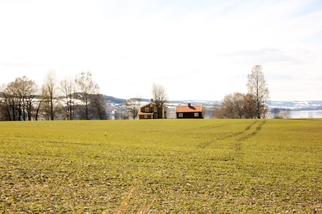 Noorse huizen met sneeuw op de achtergrond