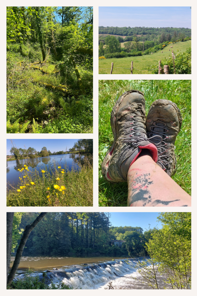 Wandelen in Chantonnay Frankrijk