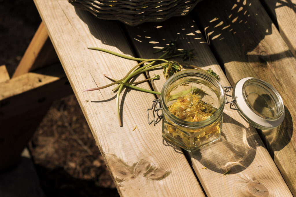 paardenbloemblaadjes plukken