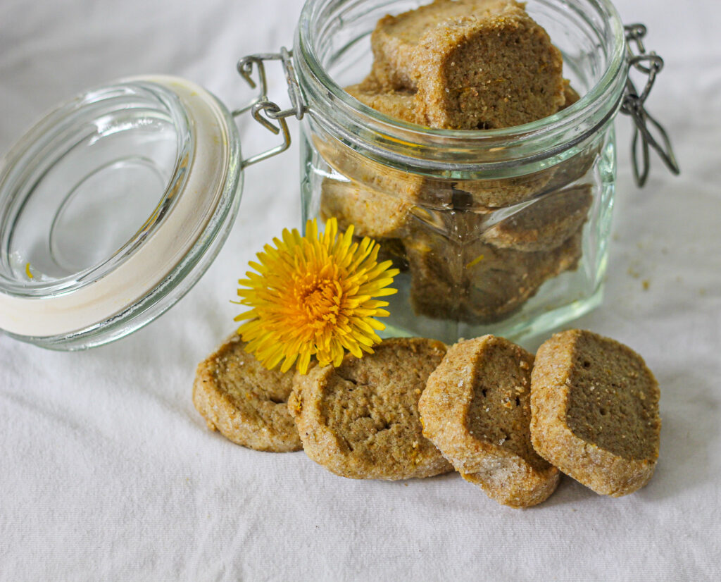 Paardenbloem koekjes