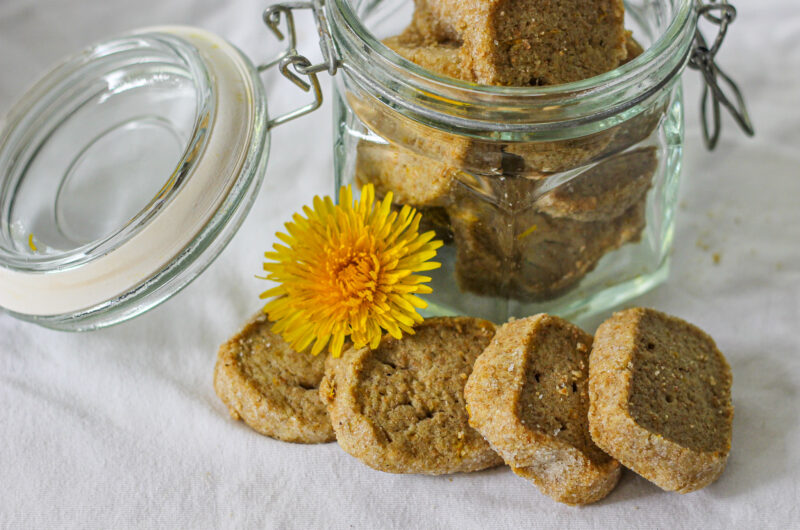 Paardenbloem koekjes