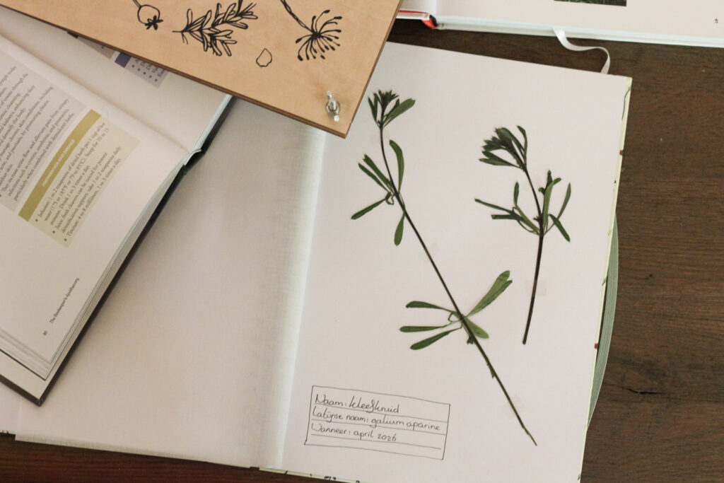 Een herbarium vol eetbare herinneringen
