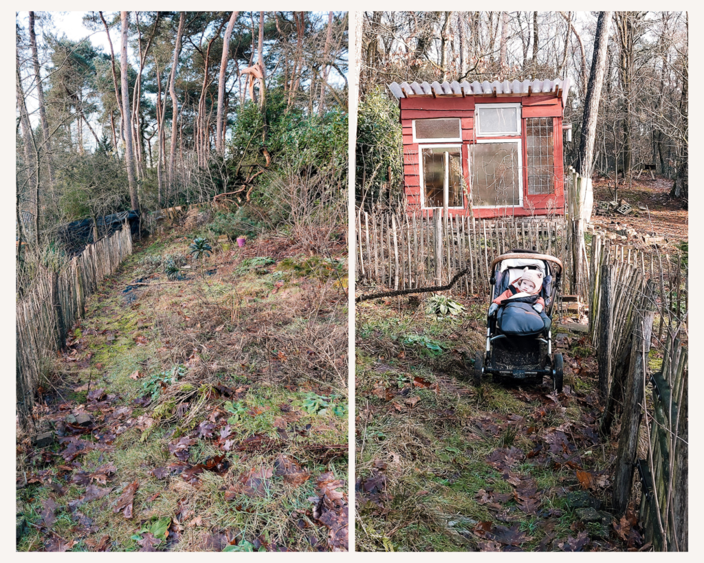 Verwaarloosde moestuin