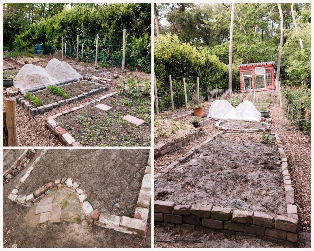 Een nieuwe moestuin, een nieuw begin